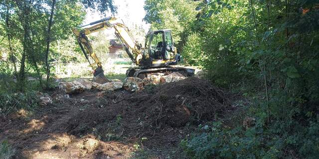 Geländearbeiten mit dem Bagger am Waldrand